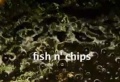 Fishchips1.JPG