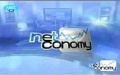 Neteconomy1.JPG
