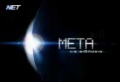 Meta2003a.JPG